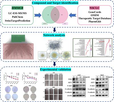 Integrated Network Pharmacology and Experimental Verification to Explore the Molecular Mechanism of Hedysarum Multijugum Maxim–Curcumae Rhizoma Herb Pair for Treating Non-Small Cell Lung Cancer